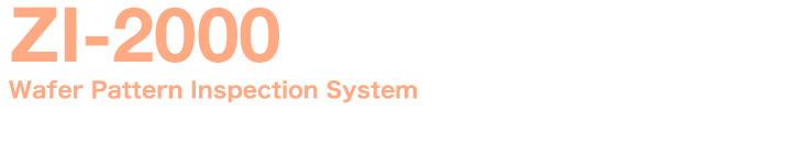Wafer Pattern Inspection System